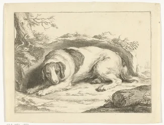 Spaniel (series title: The Drawing Book of Abraham Bloemaert)