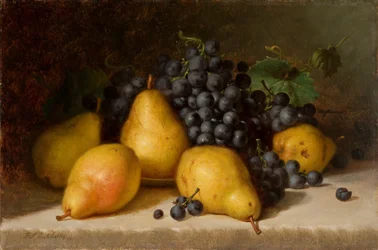 Grapes and Pears 1877