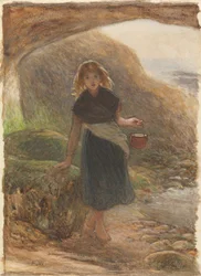 The Mussel Gatherer