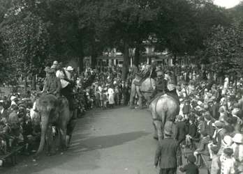 Elephant Rides, with Three Asiatic Elephants Watched by Crowds of Onlookers at London Zoo in August 1926