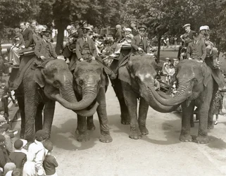 Elephant rides at London Zoo, July 1936