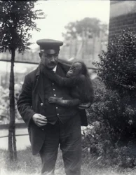 Keeper Z. Rodwell holding young Orangutan at London Zoo