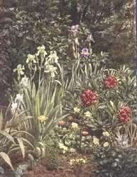 A Corner of the Garden
