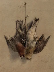 Still Life, Larks