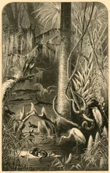 A Florida Swamp, 1872