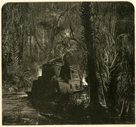 Ascending the Ocklawaha River at Night, 1872