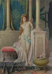 Unknown Image
