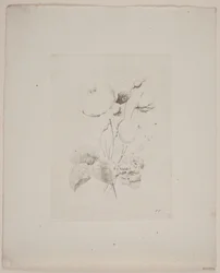 Flower Motif