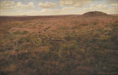 Study of a Moor