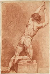 A Male Nude Seen from Behind