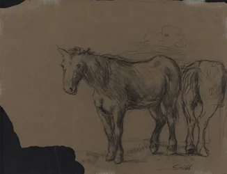 Horses