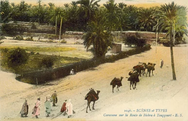 Caravan travelling between Biskra and Touggourt, Algeria
