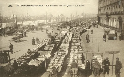Fish on the Quay, Boulogne-sur-Mer