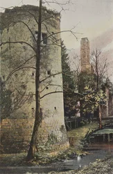 Fontenay-Tresigny, Ruins of the Chateau du Vivier-en-Brie