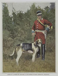 Hound and huntsman in the livery of the hunt of the Duchess of Uzes, France