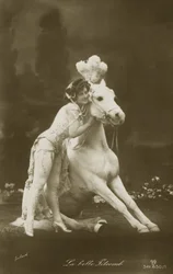 La Belle Titcomb