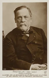 Louis Pasteur (1822-1895), French chemist and microbiologist