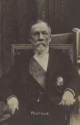 Louis Pasteur (1822-1895), French chemist and microbiologist