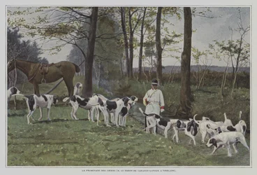 Pack of hounds of Baron de Carayon-Latour at Virelade, France