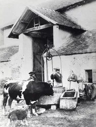 Peasants around a well, in a farmyard