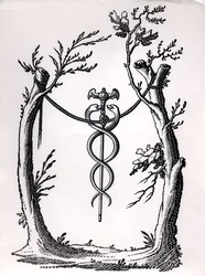 A Caduceus