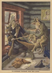 A bailiff locked in with wolves in Russia