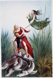 A woman attacking another woman and a boy led by dolphins - in 