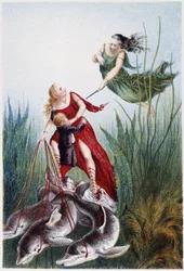 A Woman Attacking Another Woman and a Boy Led by Dolphins - in 
