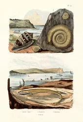 Admiral Cone, 1833-39