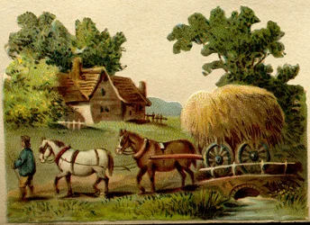 Advertising Chromolithograph Depicting a Rural Scene, Two Horses Led by a Farmer Pulling a Cart of Straw
