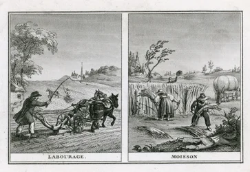 Agricultural scenes of ploughing and harvesting
