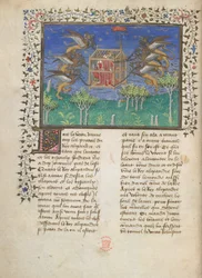 Alexander