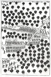 Ambush of the Iroquois, from 