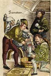 Amputation of a Limb