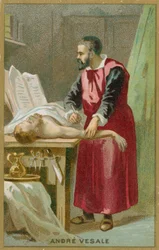Andreas Vesalius