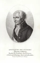 Antoine Laurent de Jussieu