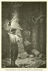 In the Depths of the Mines, the Miner Encounters with Astonishment the Ancient Buried Forests