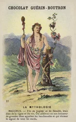 Bacchus