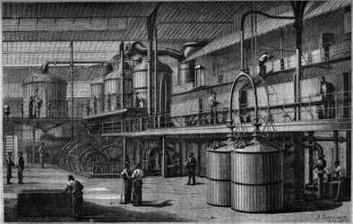 Beet Sugar Manufacturing Plant