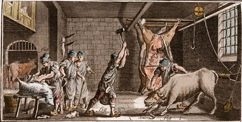 Boucher - Butchery - The Great Encyclopedie, ou Dictionnaire Raisonne des Sciences, des Arts et des Metiers by Denis Diderot and Jean d
