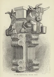 Capital from Susa, Side View, Louvre