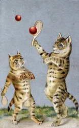 Cats playing tennis - postcard early 20th century