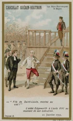 Chocolat Guerin-Boutron trade card, Historic Words series