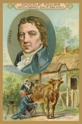 Chocolat Poulain trade card, Edward Jenner