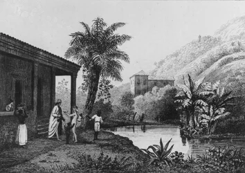 Coffee Plantation, from 