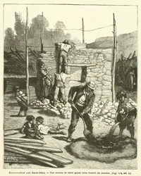 Colonization in the United States