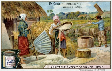 Korea: rice harvesting, weaving and threshing - chromo. Liébig, c.1900
