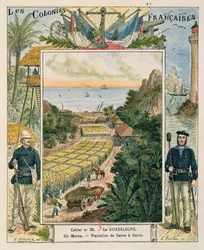 Cover for a School Exercise Book Depicting a Sugarcane Plantation in Guadeloupe
