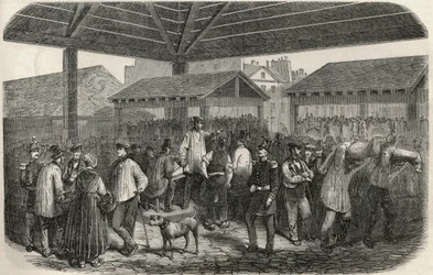 Cree de la viande de boucherie au marche de la rue des Prouvaires dans le I arrondissement de Paris - Engraving in 