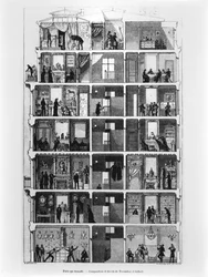 Cross-Section of a Parisian Building, Illustration from Le Magasin Pittoresque, 1883